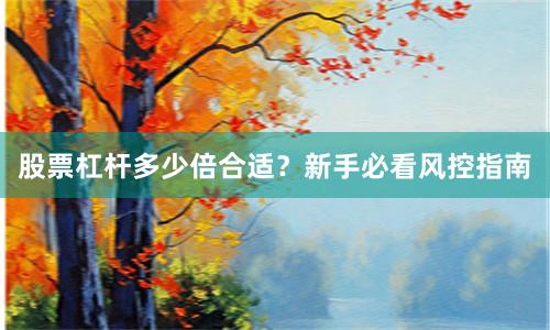 股票杠杆多少倍合适？新手必看风控指南