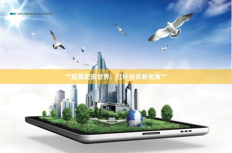 **股票配资世界：杠杆投资新视角**