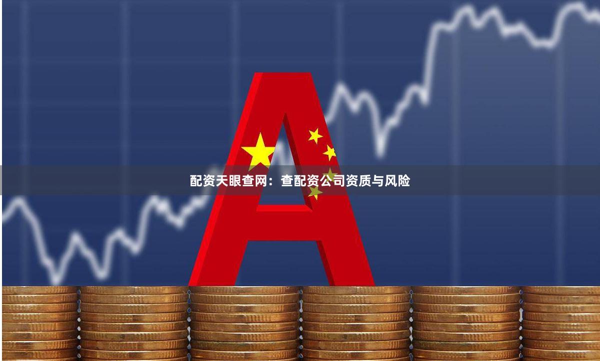 配资天眼查网：查配资公司资质与风险