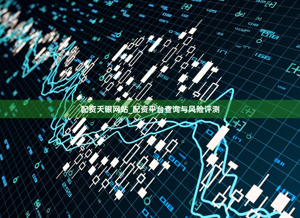 配资天眼网站_配资平台查询与风险评测